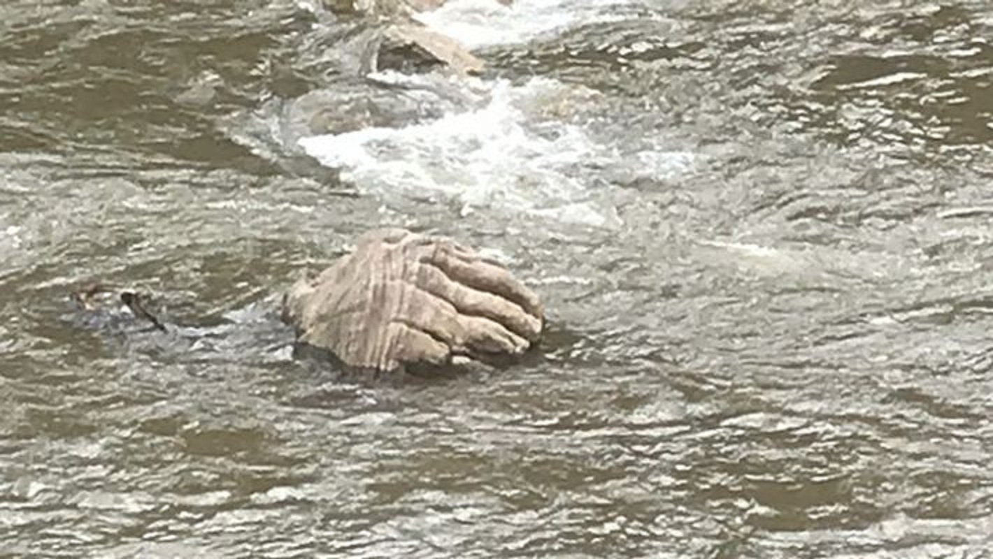 Hand Of God? A Giant hand-like structure spotted coming out of flooded river in Kerala!
