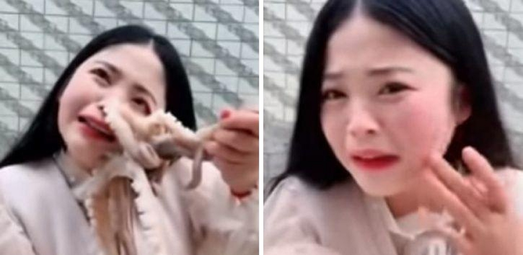 Watch: Octopus Tries To Eat A Chinese Woman’s Face, After She Tries To Eat It Alive!