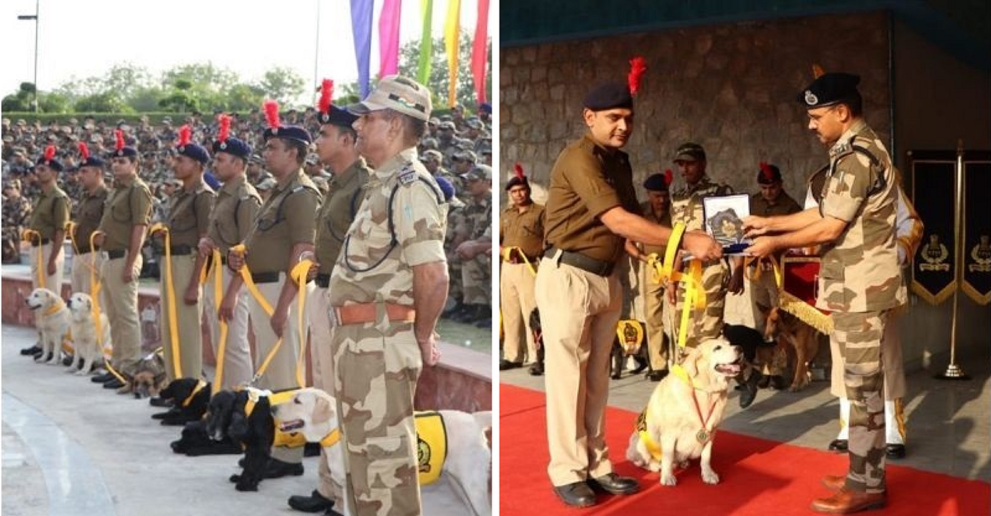 CISF Bids Honourable Farewell To Its ‘Canine Soldiers’ in a Heartwarming Ceremony