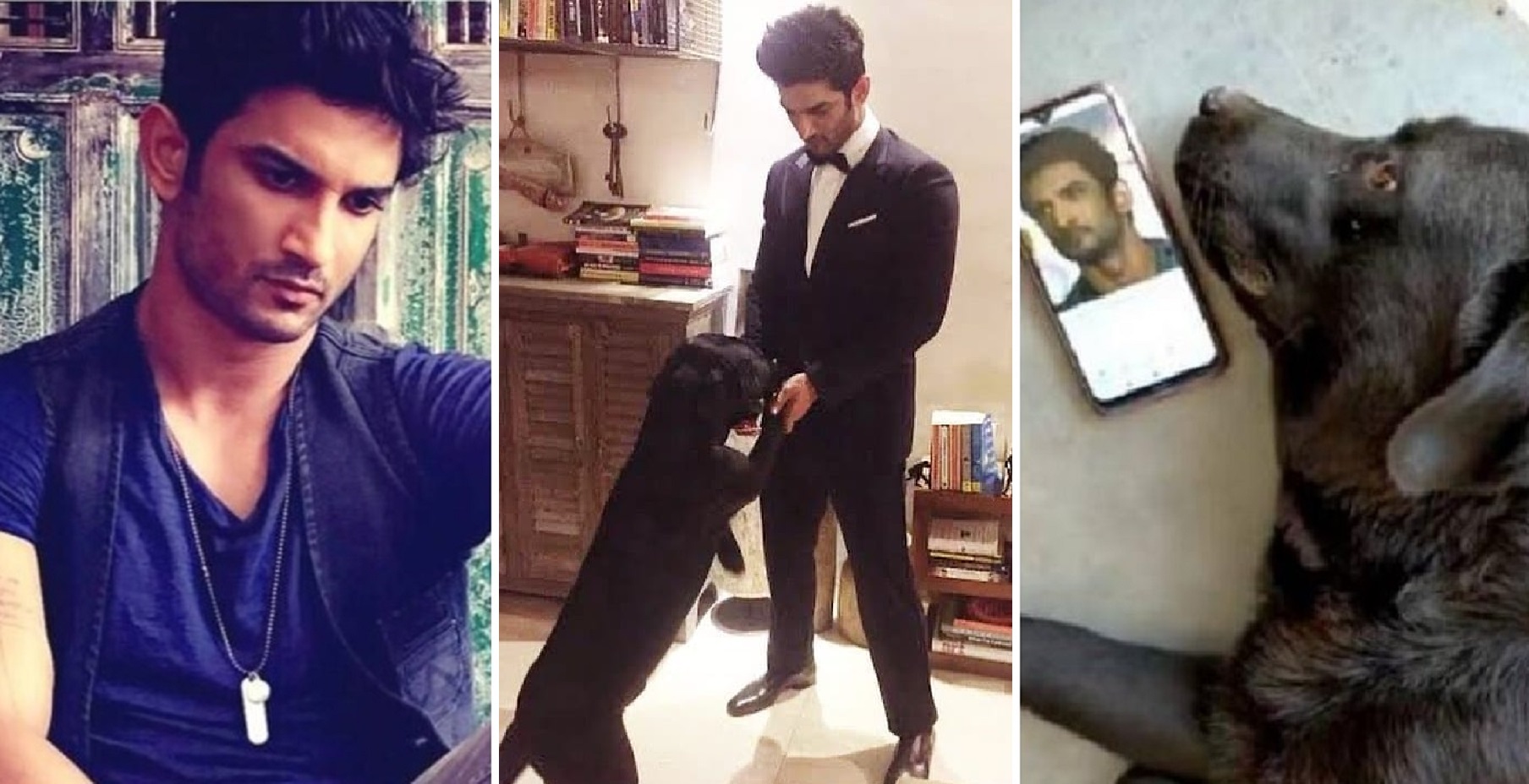 Sushant Singh Rajput’s 3 Dogs Are Now Being Put Up For Adoption At His Lonavla Farmhouse