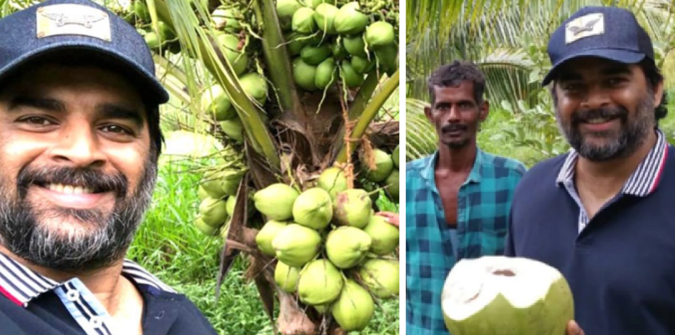 R Madhavan Buys A Lifeless Piece Of Land In Tamil Nadu, Turns It Into a Fertile Coconut Farm
