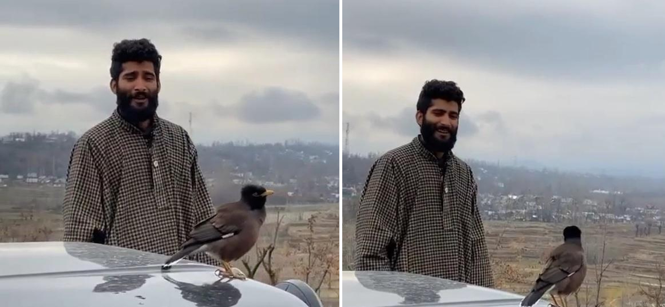Viral Video: Beautiful Jugaldbandi Of Nature as a Man Sings Along with a Bird in Kashmir [Watch]