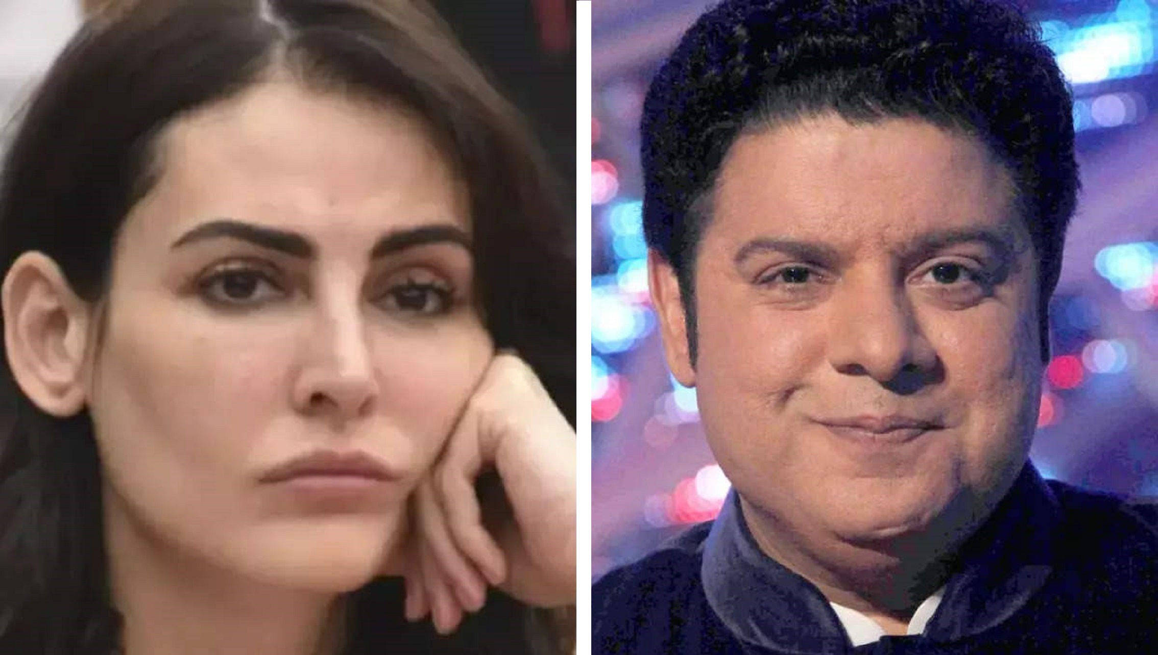 Mandana Karimi Quits Bollywood After #MeToo Accused Director Sajid Khan Joins Bigg Boss
