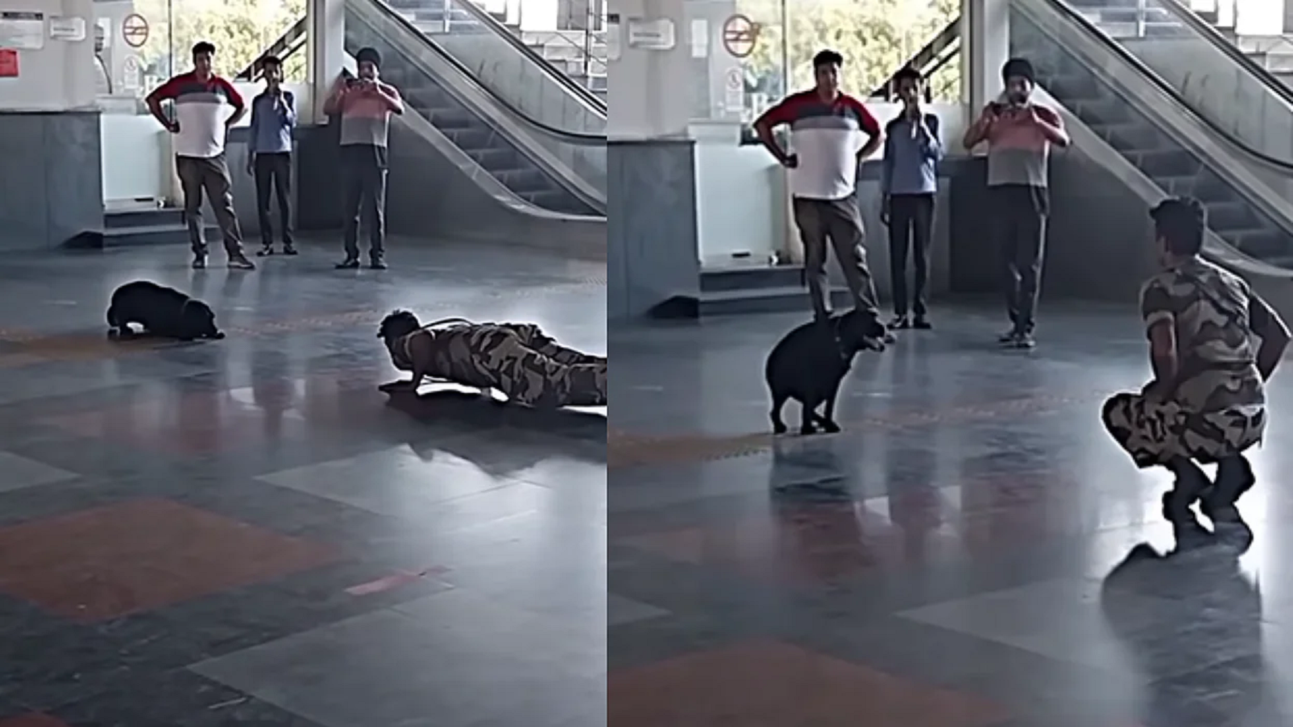 Heartwarming ! This Video Of A Dog Performing Yoga Routine Of CISF Personnel Is Winning Hearts